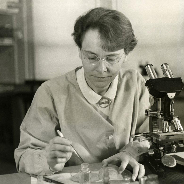 Barbara McClintock at her microscope