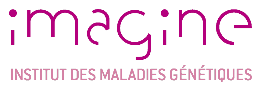 Institut Imagine